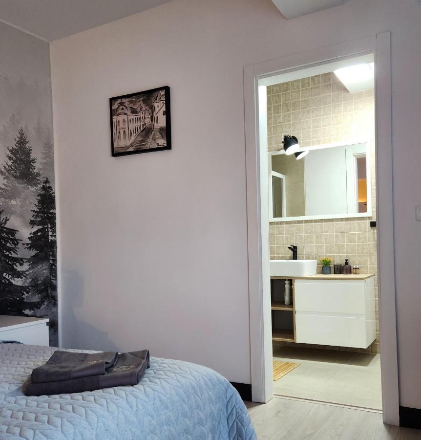 My Room Accommodation Curtea de Argeş المظهر الخارجي الصورة
