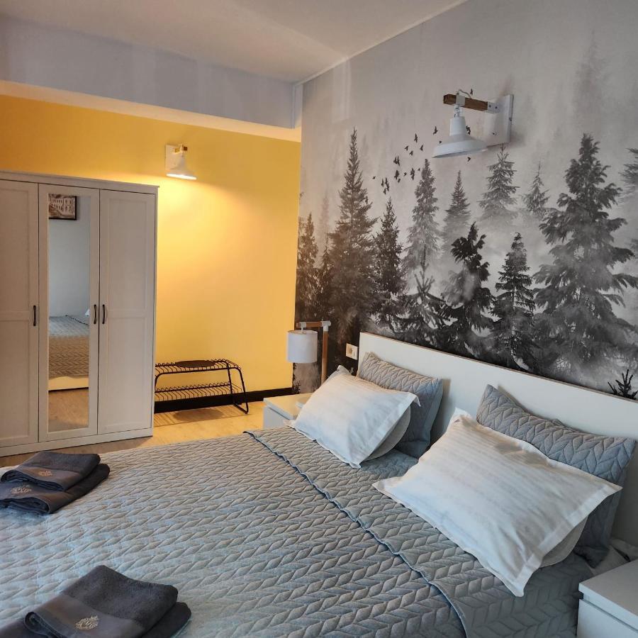 My Room Accommodation Curtea de Argeş المظهر الخارجي الصورة