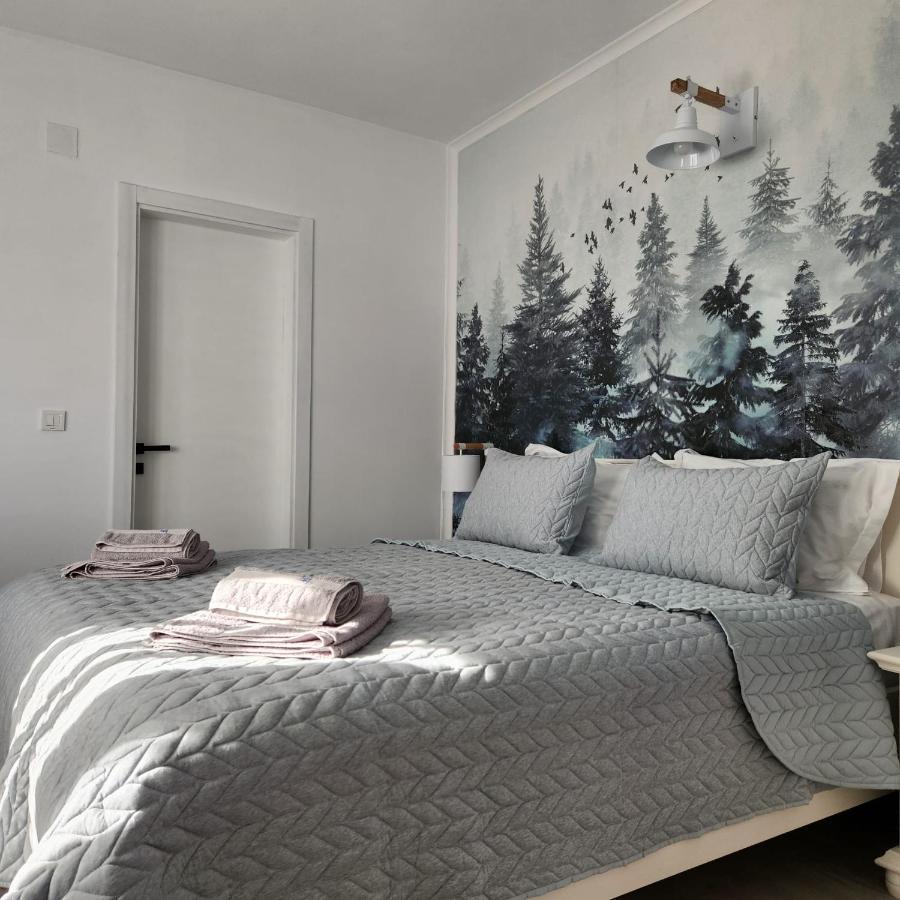 My Room Accommodation Curtea de Argeş المظهر الخارجي الصورة