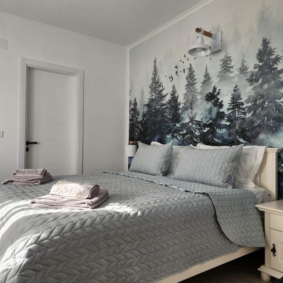 My Room Accommodation Curtea de Argeş المظهر الخارجي الصورة