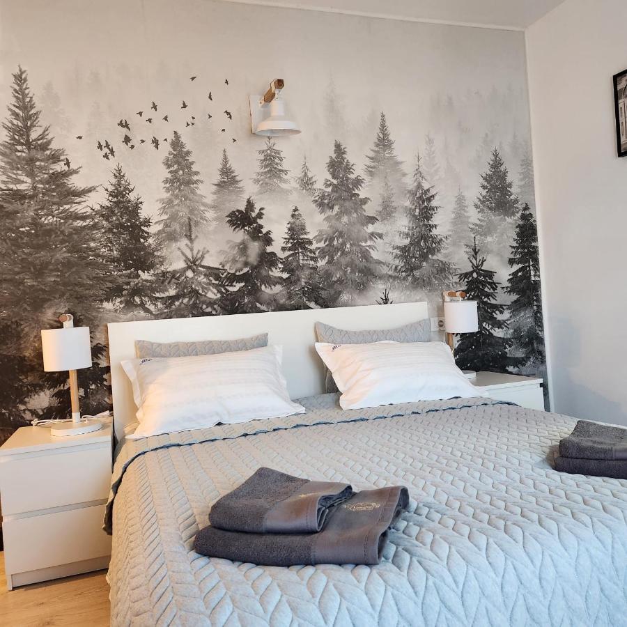 My Room Accommodation Curtea de Argeş المظهر الخارجي الصورة