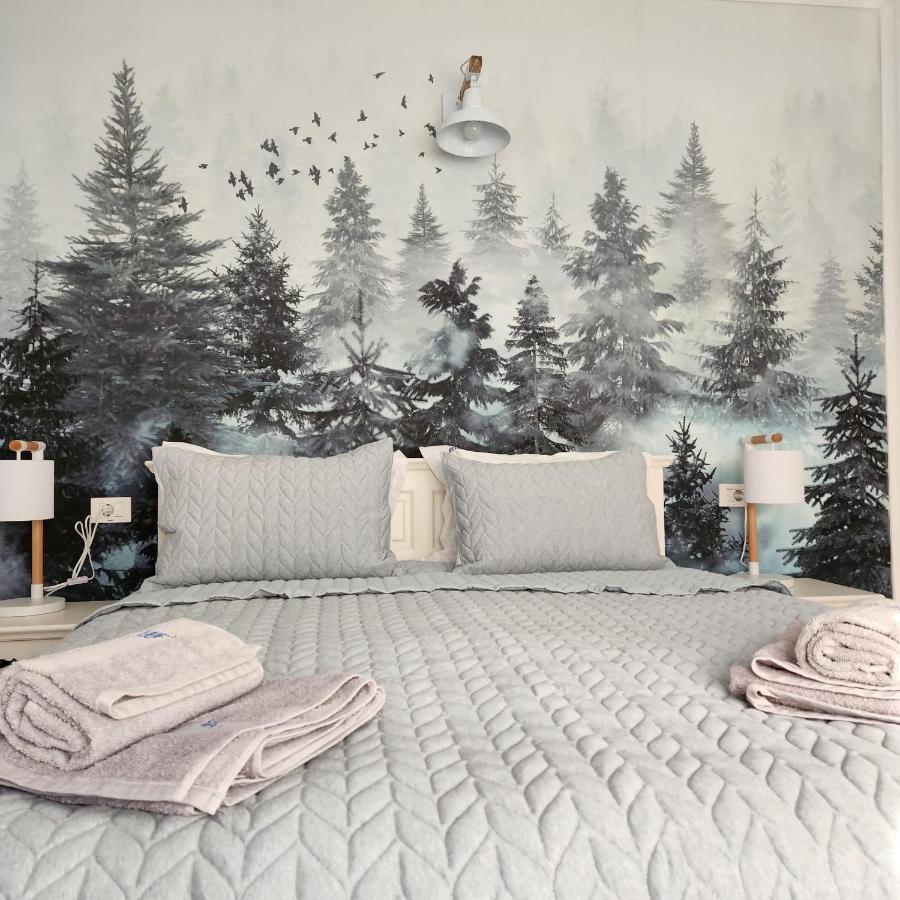 My Room Accommodation Curtea de Argeş المظهر الخارجي الصورة